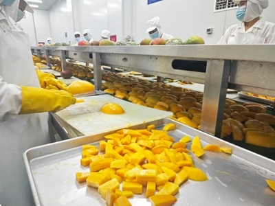 攀枝花市仁和區人民政府