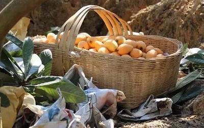 攀枝花新增一個(gè)國(guó)家地理標(biāo)志保護(hù)產(chǎn)品,你絕對(duì)吃過!