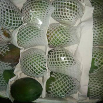 攀枝花農產品批發供應商陳貴川——惠農網電腦版合作共贏